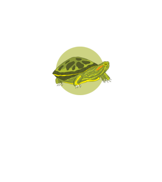 Turtle model negru pe tricou