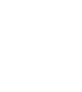 LOVE VIȘLĂ model negru pe tricou