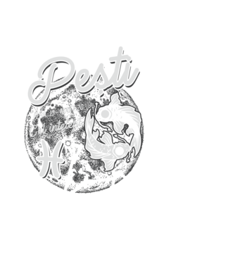 Zodiac bărbat PEȘTI retro model negru pe tricou