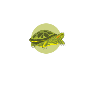 Turtle model negru pe tricou
