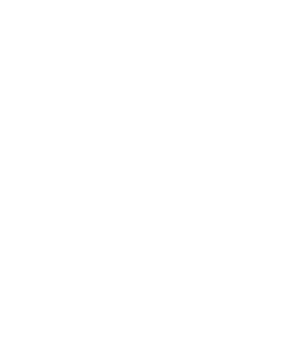 nimeni nu e perfect, dar stăpânii de border collie sunt foarte aproape model negru pe tricou