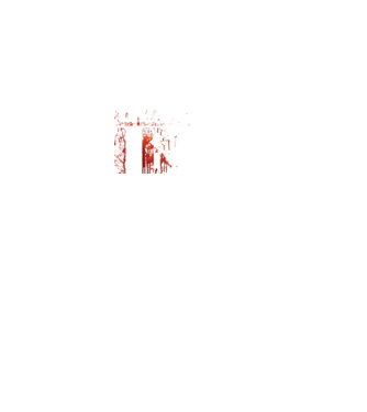Beware i bite model gri închis pe tricou