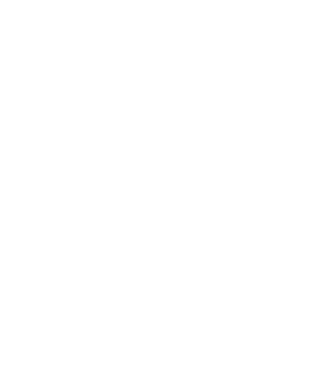 Crazy Cat Ladies are born in December model negru pe tricou