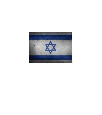 ISRAEL model  pe tricou