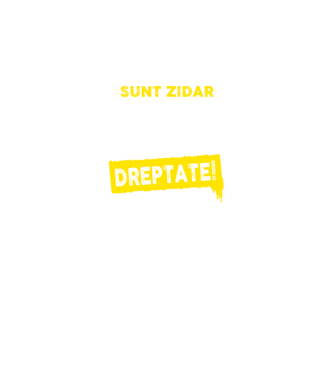 Sunt zidar, pentru a economisi timp, să reținem că am întotdeauna dreptate! model albastru regal pe tricou