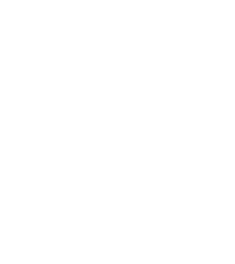 chitară evolution model negru pe tricou