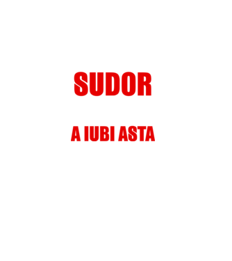 Sunt suficient de priceput pentru a fi SUDOR și suficient de nebun pentru a iubi asta model negru pe tricou