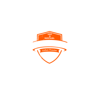 HANDBALIST unic și inimitabil calitate premium model negru pe tricou