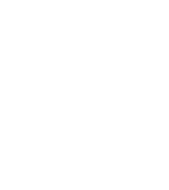 LOVE Border Collie model negru pe tricou