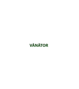 fii calm, sunt vânător model turcoaz pe tricou
