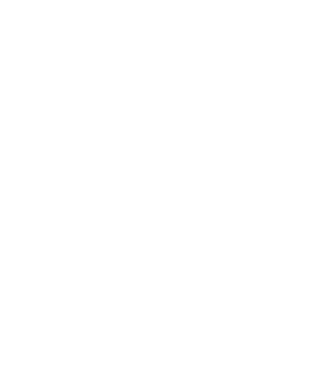România made in model negru pe tricou