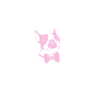 Boston Terrier model alb pe tricou