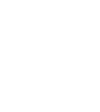 Regele - ceaunului! model negru pe tricou