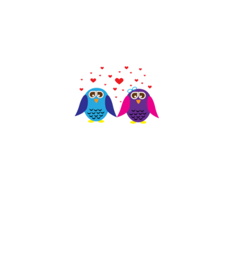 Owl Love model gri pe tricou