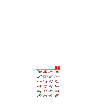 F1 calendar 2025 Negru model albastru închis pe tricou