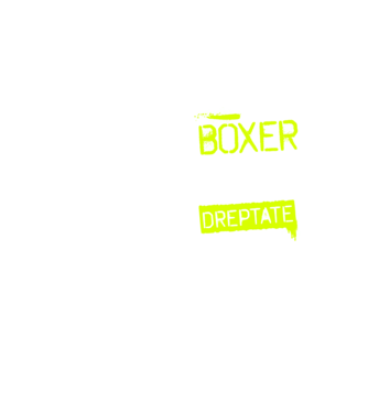 Sunt boxer, pentru a economisi timp, să reținem că am întotdeauna dreptate model galben neon pe tricou