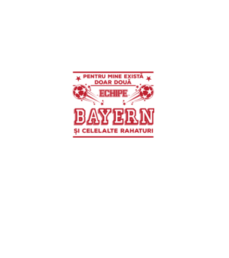 Pentru mine există doar două echipe, Bayern și celelalte rahaturi model alb pe tricou