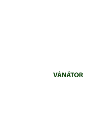fii calm, sunt vânător model galben neon pe tricou