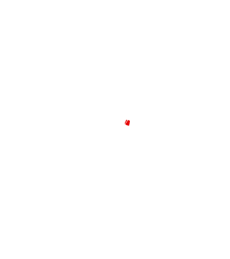 godfather cu trandafir model negru pe tricou