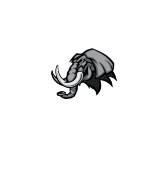 Elephant model gri pe tricou