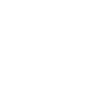 EarthLogo model negru pe tricou