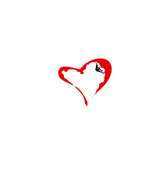 heartclimb model alb pe tricou