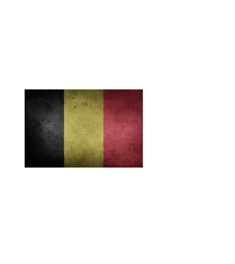 BELGIUM model alb pe tricou