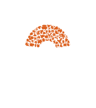 Pokeball model negru pe tricou