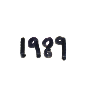 Taylor Swift 1989 text model alb pe tricou