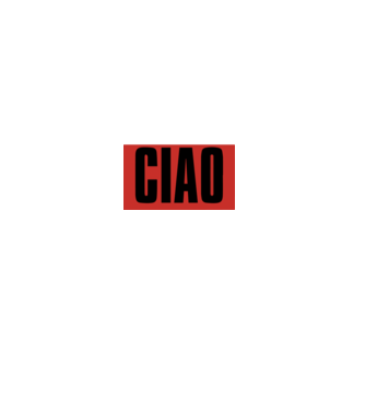 bella ciao model turcoaz pe tricou