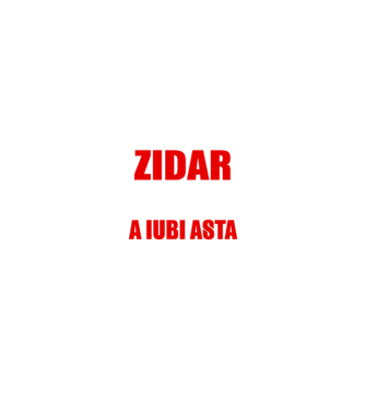 Sunt suficient de priceput pentru a fi ZIDAR și suficient de nebun pentru a iubi asta model negru pe tricou