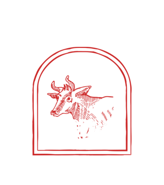 Festival de ceaun - cu tata în grădina din spate! model alb pe tricou
