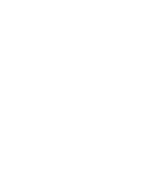 Crazy Cat Ladies are born in November model negru pe tricou