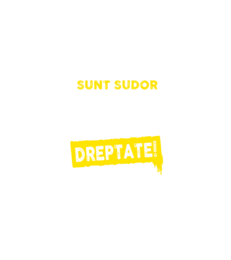 Sunt sudor, pentru a economisi timp, să reținem că am întotdeauna dreptate! model negru pe tricou