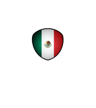 MEX-jabulani-flag model alb pe tricou
