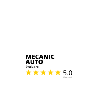 Evaluare - MECANIC AUTO model alb pe tricou