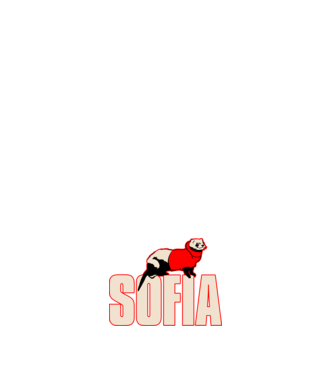 sofia la casa de papel model alb pe tricou