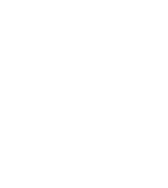 Nașă model bordo pe tricou