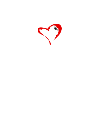 heartclimb model alb pe tricou
