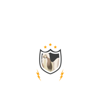 serviciu de securitate - securitate - persistență - 24 de ore pe zi model negru pe tricou