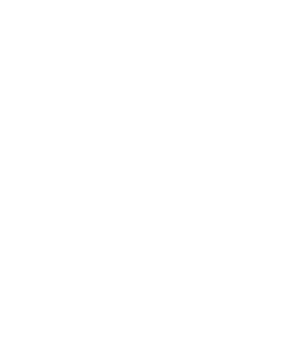 LOVE CORGIE model galben neon pe tricou