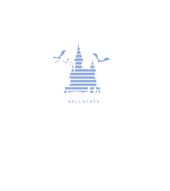 România CastleVania model negru pe tricou