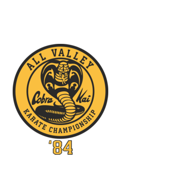 all valley karate cobra kai model alb pe tricou
