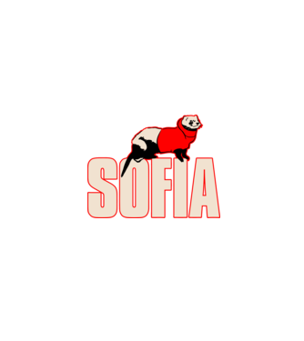 sofia la casa de papel model negru pe tricou