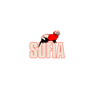 sofia la casa de papel model negru pe tricou