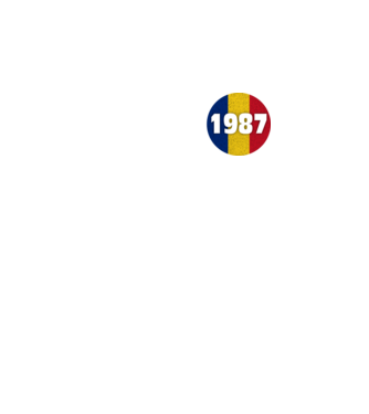 Made in 1987 model turcoaz pe tricou