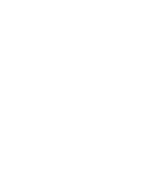 Crazy Cat Ladies are born in November model negru pe tricou