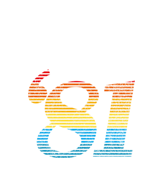 Retro Birthday 1981 model alb pe tricou