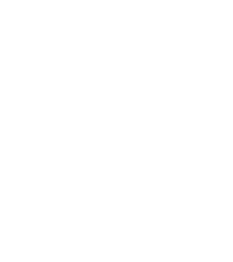 Heartbeat line Boston Terrier model turcoaz pe tricou