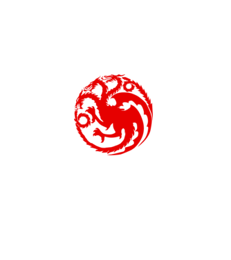 Targaryen model gri pe tricou